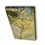 Reproduktsioon Blossoming Pear Tree