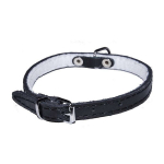 Nahast kaelarihm Dino, must, 10mm/27cm