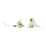 Kaunistus Villeroy & Boch "Mini Flower Bells", 2 tk