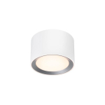 Nordlux vannitoa laelamp Landon IP44 2110660101