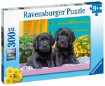 Pusle kutsikad Ravensburger 12950, ​​300 tk