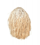 Bazar Bizar laelamp, The Shaggy