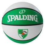 Korvpall Spalding ŽALGIRIS