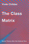 The Class Matrix: Social Theory after the Cultural Turn