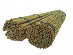 Bambuspulgad 45 cm 8/10 mm, 1000 tk