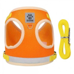 Kasside Vest koos Rihmaga.
