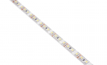 LED riba 12V | 3528 | 600LED | 5m | IP65 | k&uuml;lmvalge (6000K)