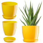 Lillepott, lillekaas, kollane alus, 16 cm