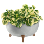 Lillepott Lillepott 40 cm kate + jalad korgist lillealus, hall