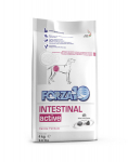 Forza 10 Intestinal Active Diet seedeprobleemide korral, 4 kg