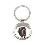 Napoli mastiff - geomeetriline v&otilde;tmehoidja ripats pildi ja tekstiga Art-Dog, XS