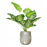 Kunsttaim REALISTILISES TEINES 42cm Dieffenbachia KODUTAMISEKS