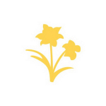 Dekoratiivne augustaja, Kaks lille, 25 mm