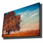 Reproduktsioon Puu s&uuml;gisel