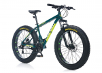 Maastikuratas Corelli Zengo 26", roheline/hall
