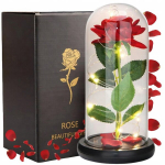 Igavene roos klaasis Led-valgustusega &ndash; ideaalne kingitus emadep&auml;evaks