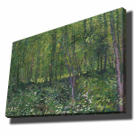 Reproduktsioon Trees and undergrowth