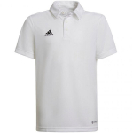 Polo laste T-s&auml;rk Adidas Entrada 22 HC5059, valge