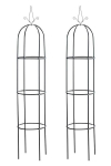 2 tk roosiistik Romantika V2, Juoda