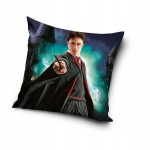 Harry Potter 40x40 cm kate