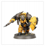 Warhammer Age of Sigmar Orruk Warclans: Orruk Ardboyz