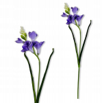 Kunstfreesia oks 59 cm, lillad, vaht &otilde;ied