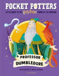 Pocket Potters: Professor Dumbledore, Pocket Potters: Professor Dumbledore
