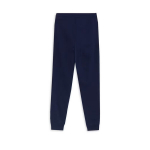 PUMA meeste vabaajap&uuml;ksid PUMA ESS Logo Sweatpants TR cl PUMA Navy - 68678506, sinine