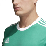 Jalgpalli T-s&auml;rk Adidas Squad 17 Jsy SS Green BJ9179/XS, XS