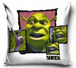 Shrek the Pooh padjakate 40x40 cm, pehme