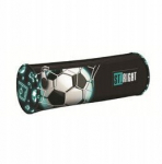 St. Majewski "neoonjalgpalli" torukujuline pliiats