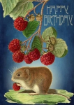 Postkaart B6 &uuml;mbrikuga: S&uuml;nnip&auml;evahiir