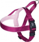 Nobby Classic Preno S/m koerarakmed, 25mm, 38-50cm, vaarikas