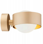 Seinavalgusti Argon Massimo Plus 8567, kuld/valge