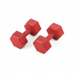 Hantlid 2x3kg