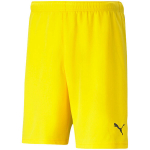 Puma teamRISE Short Cyber meeste l&uuml;hikesed p&uuml;ksid, kollased 704942 07