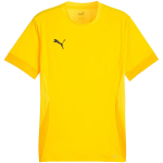 Puma teamGoal Matchday Jersey meeste s&auml;rk, kollane 705747 07