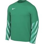 Nike Dri-Fit Park V Stadium meeste s&auml;rk, roheline HV8314 324