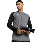 Puma teamPACER GK LS meeste v&auml;ravavahi s&auml;rk, hall 704933 43, 2XL