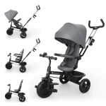 Mitmeastmeline kolmerattaline jalgratas Kinderkraft Aston 2 Plus, hall