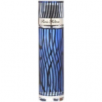 Tualettvesi Paris Hilton for Men EDT meestele 100 ml