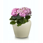 Keraamiline lillepott 14,5 cm kreemikas v&auml;rviga