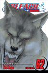 Bleach, Vol 62: Heart of Wolf
