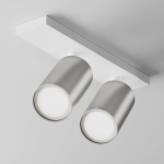 Maytoni Technical Ceiling lamp Focus S C051CL-U-2WS Valge ja matt h&otilde;bedane v&auml;rvus