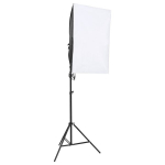 vidaXL professionaalne stuudiovalgusti 2 tk, 40 x 60 cm