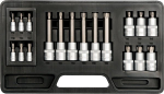 Torx padrunotsikute kohver 1/4" + 1/2" 18 osa 7751