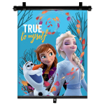 Autoakna p&auml;ikesekaitse Frozen (Island), 1 tk