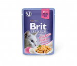 Brit Premium Delicate Files In Jelly kanaga, 85 g