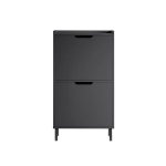 SoBuy Smalt skosk&aring;p med 2 fack Skohylla h&ouml;g Skost&auml;ll Hylla FSR151-SCH