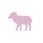 Dekoratiivne augustaja, Lambad, 16 mm